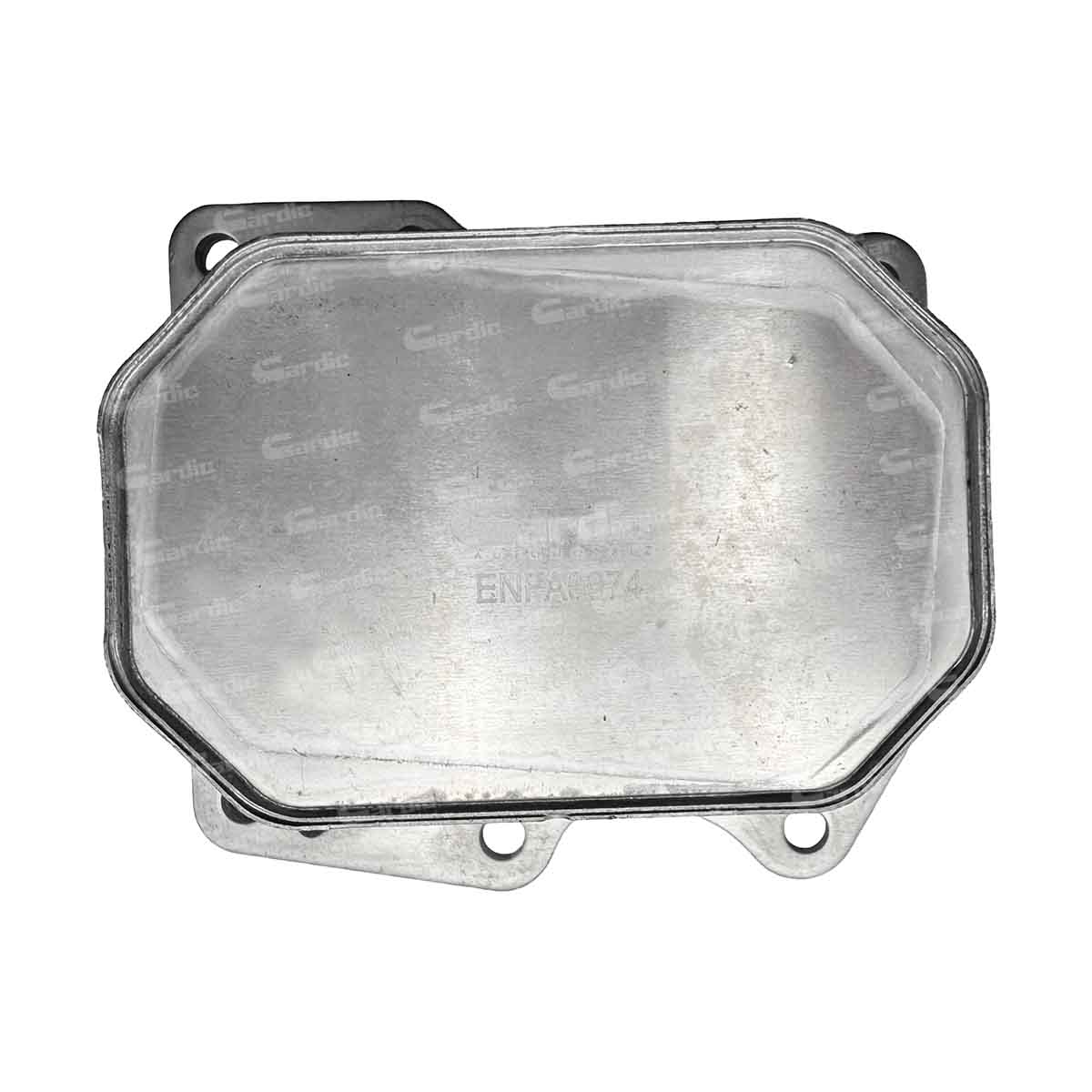 Enfriador Aceite para Ford Transit 2.2 2006 2007 2008 2009