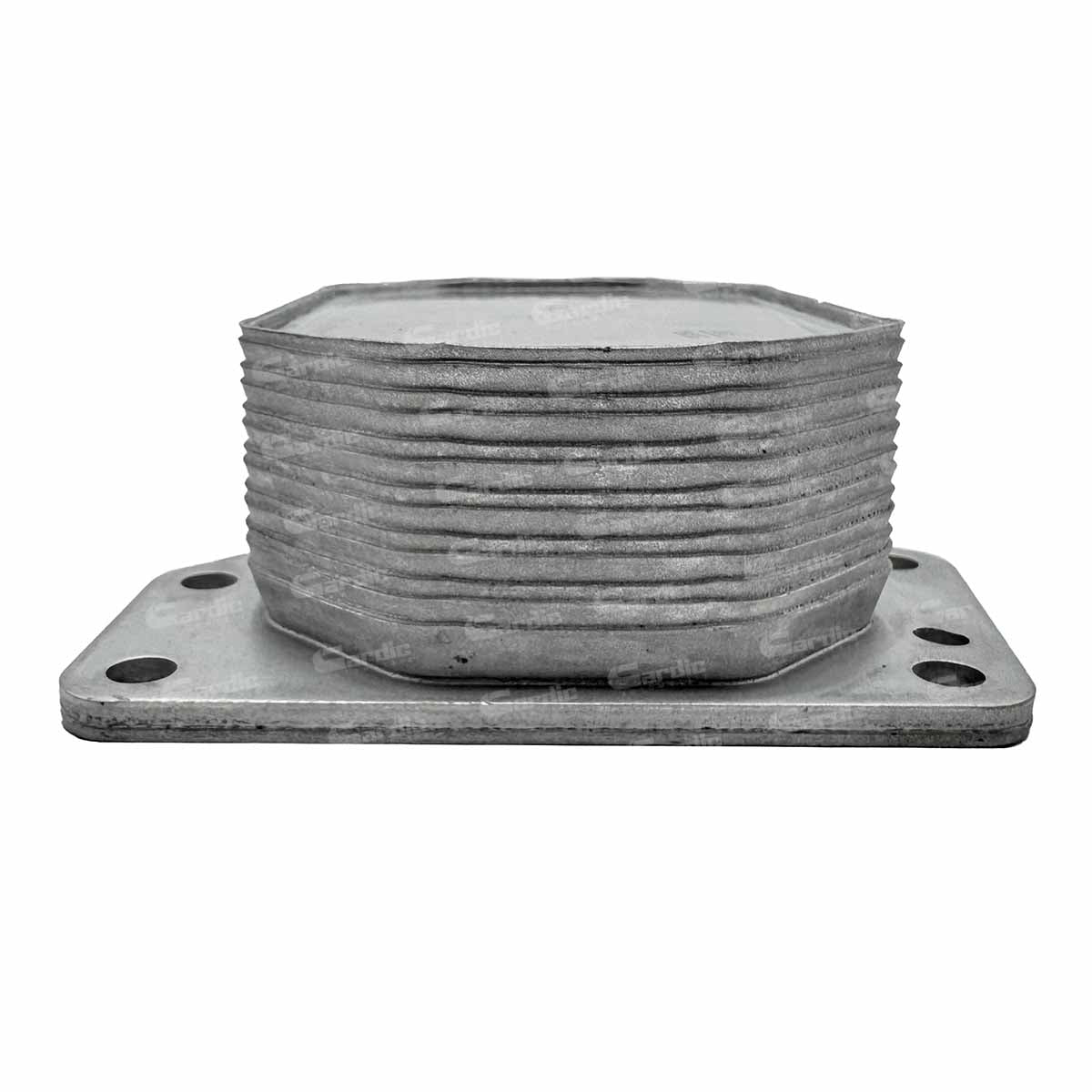 Enfriador Aceite para Ford Transit 2.2 2010 2011 2012 2013