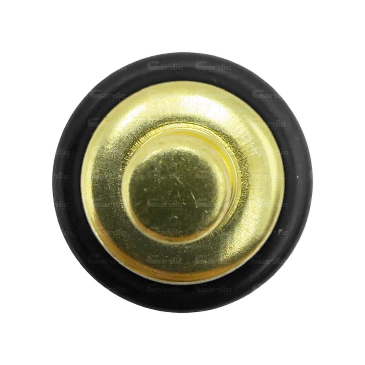 Sensor Temperatura Ect/cts Para Vw Golf 2.8 2002