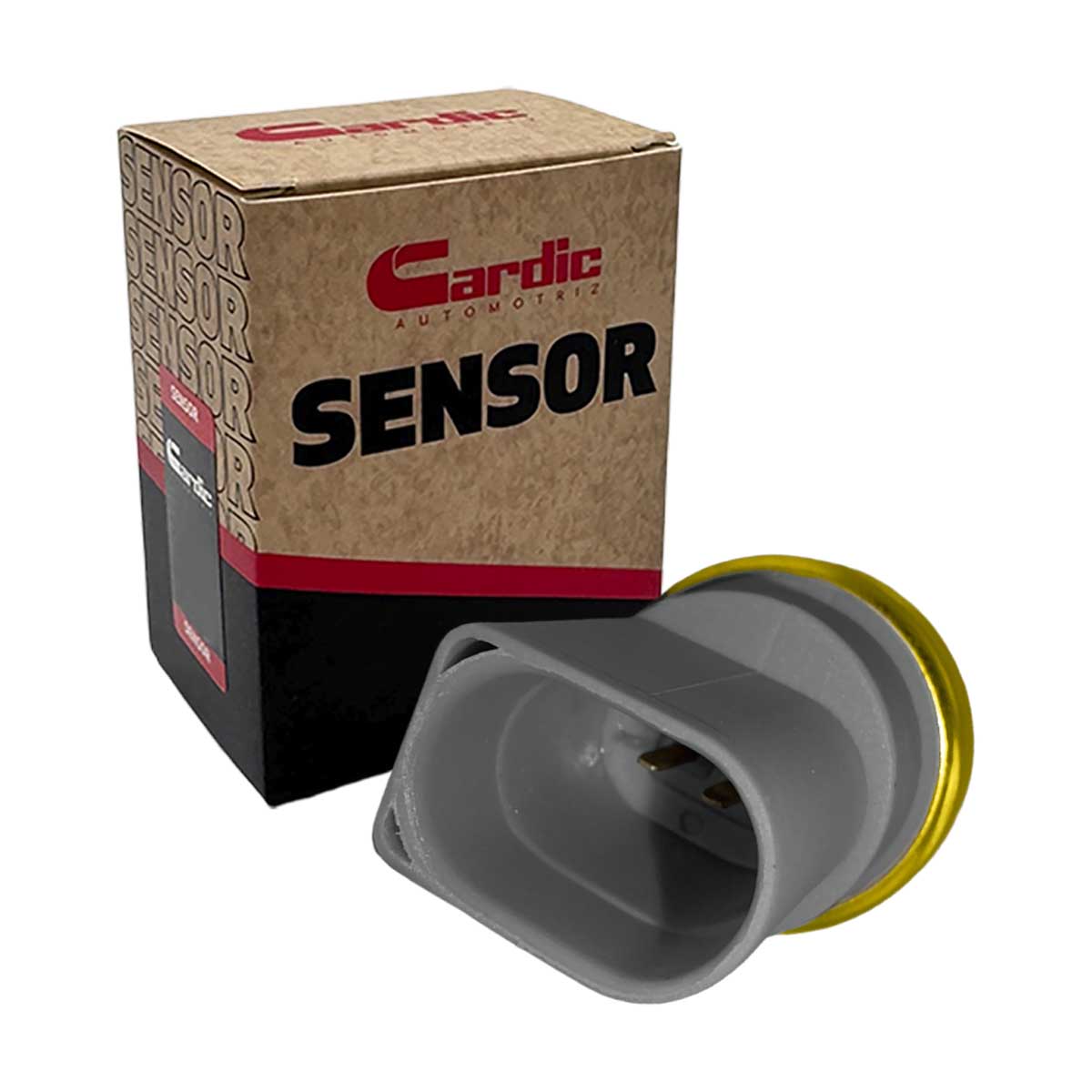 Sensor Temperatura Ect/cts Para Seat Alhambra 1.8 2003