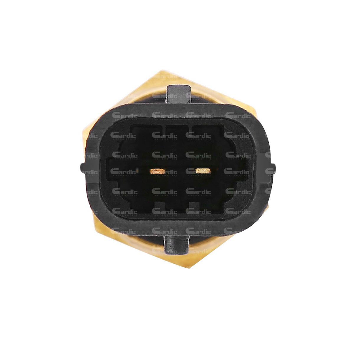 Sensor Temperatura Ect/cts Para Saturn Lw2 3.0 2000