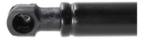 Amortiguador Medallon Trasero Para Ford Escape 2007 Der/izq