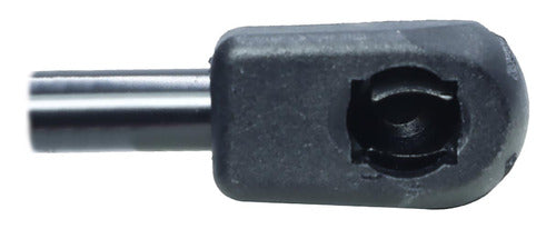Amortiguador Cajuela Para Ford Focus Hb 1999 2000 Der/izq