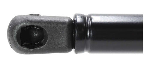 Amortiguador Cajuela Para Vw Beetle 2007 2008 2009 Der/izq