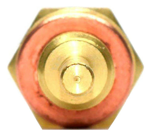 Sensor Temperatura Ect/cts Para Nissan Sentra 1.8 2017 2018