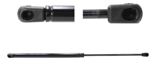 Amortiguador Cajuela Para Vw Beetle 2001 2002 2003 Der/izq