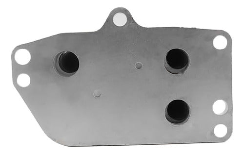 Enfriador Aceite Para Peugeot 307 2.0 2005 2006 2007 2008