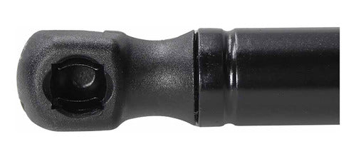 Amortiguador Cajuela Para Ford Focus H-back 2012 Der/izq
