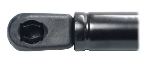 Amortiguador Cajuela Para Dodge Caliber 2009 2010 Der/izq