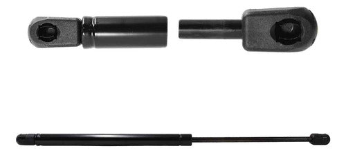 Amortiguador Cofre Para Ford Lobo 2003 Der/izq