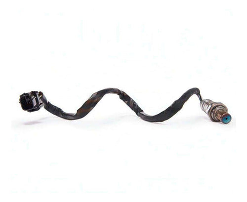 Sensor Oxigeno Para Honda Odyssey 3.5 2011 2012 2013 D/c
