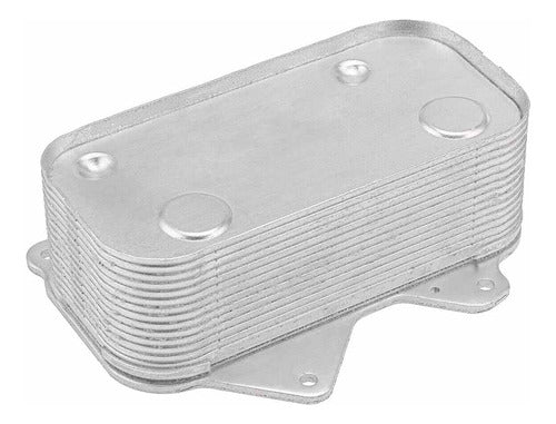 Enfriador Aceite Para Audi A6 4.2 2003 2004