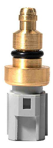 Sensor Temperatura Ect/cts Para Ford Courier 1.6 2007 2008