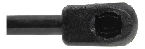 Amortiguador Medallon Trasero Para Ford Escape 2005 Der/izq