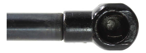 Amortiguador Cajuela Para Toyota Rav4 2013 2014 2015 Der/izq