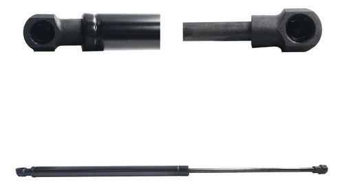 Amortiguador Cajuela Para Peugeot Pg-206 2007 2008 Der/izq
