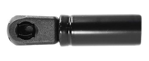 Amortiguador Cofre Para Ford Lobo 2003 Der/izq