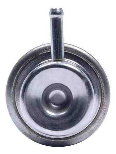 Regulador Presion Gasolina Para Ford Lobo 4.6 2000 2001 2002