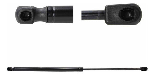 Amortiguador Cajuela Para Ford Focus H-back 2014 Der/izq