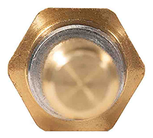 Sensor Temperatura Ect/cts Para Ford Freestar 3.9 2004 2005