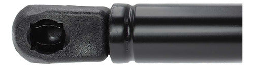 Amortiguador Cofre Para Vw Bora Gli 2009 2010 Der/izq