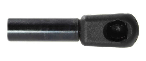 Amortiguador Cajuela Para Ford Expedition 2003 2004 Der/izq