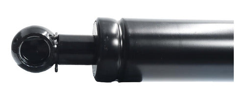 Amortiguador Cajuela Para Nissan Tsubame 1998 1999 Der/izq