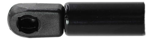 Amortiguador Cajuela Para Vw Jetta A3 1997 1998 Der/izq