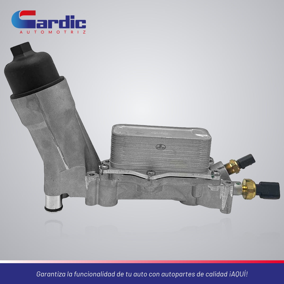 Enfriador Aceite Para Ram Promaster 2500 3.6 2020