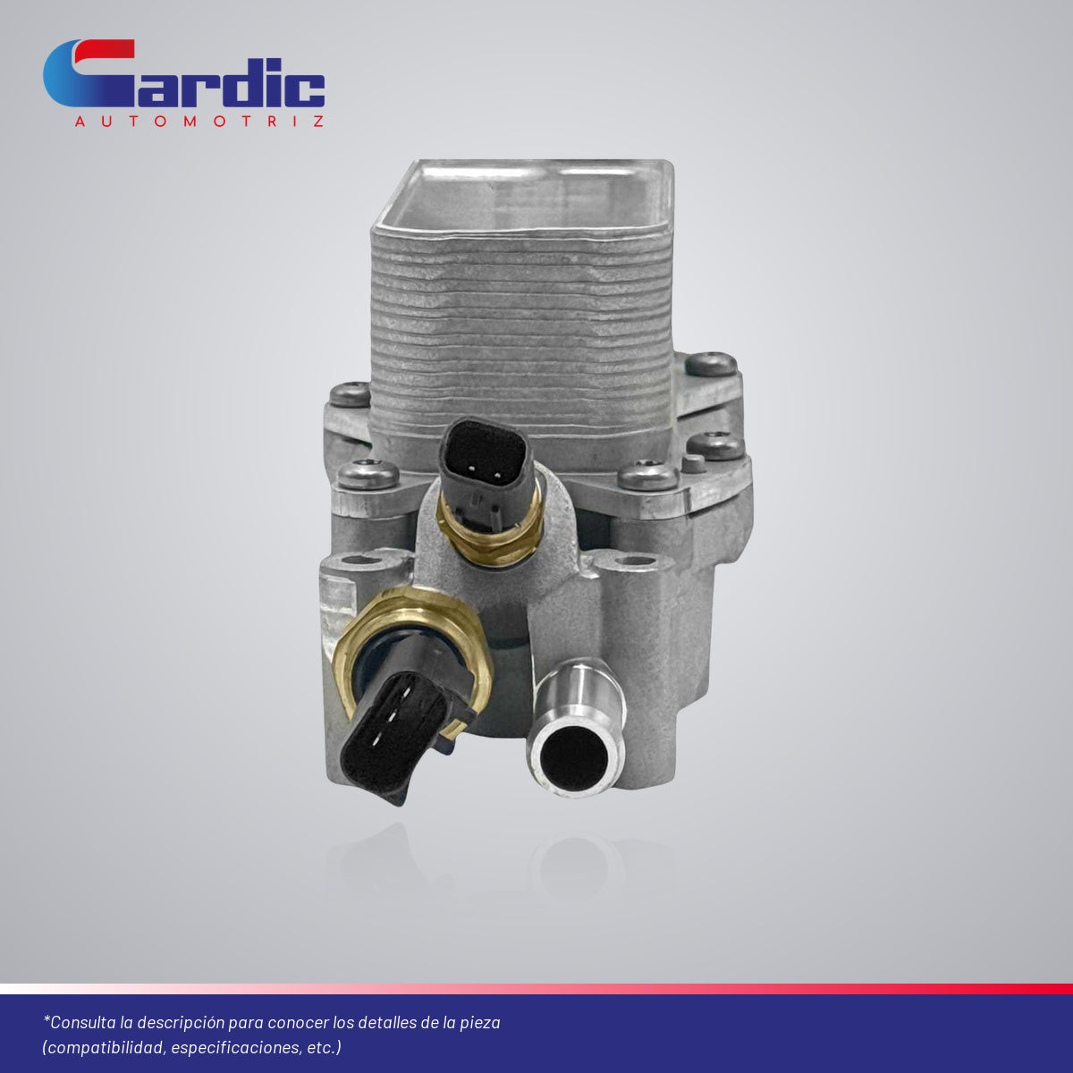 Enfriador Aceite Para Ram Promaster 2500 3.6 2020