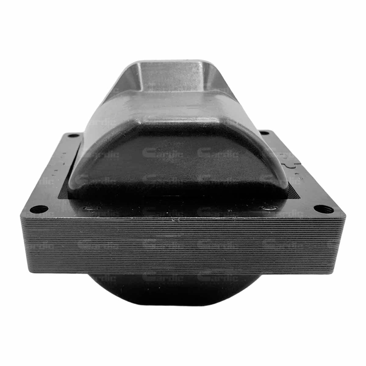 Bobina Para Chevrolet Express 2500 4.3 2004 2005
