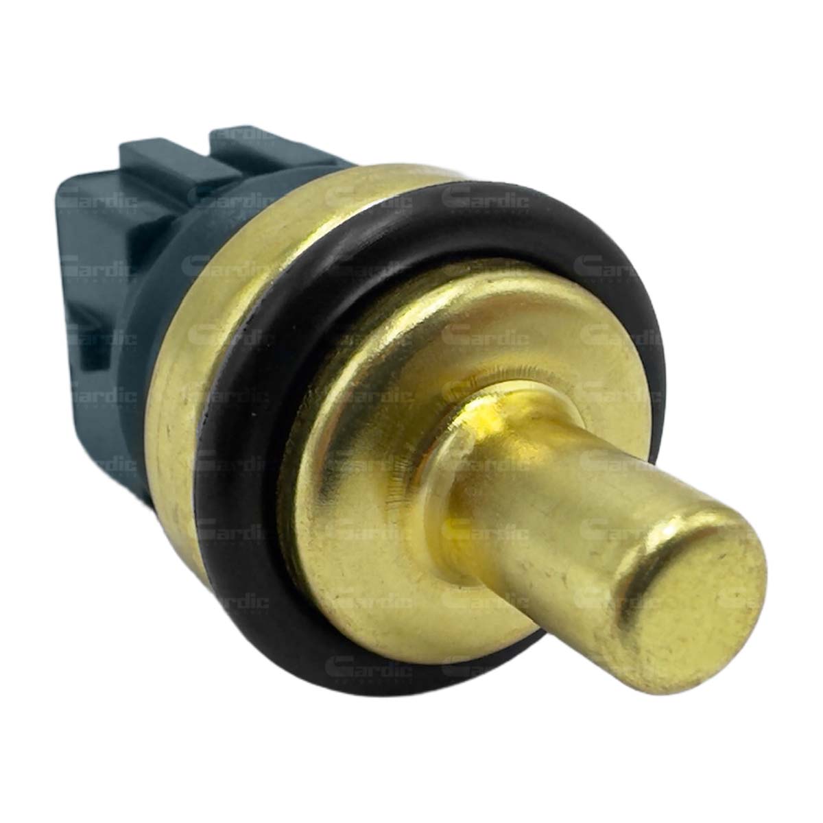 Sensor Temperatura Ect/cts Para Vw Golf 2.8 2002