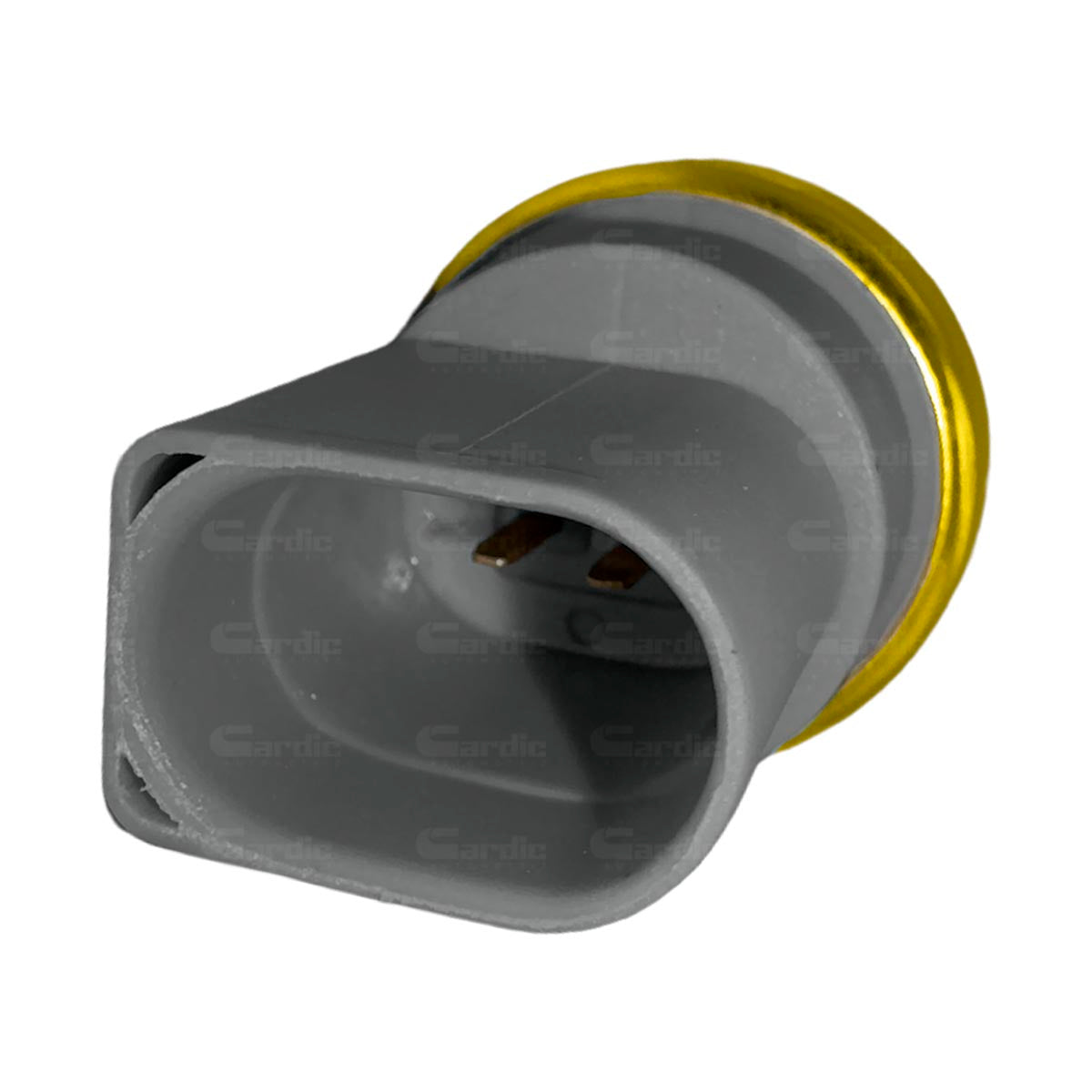 Sensor Temperatura Ect/cts Para Seat Alhambra 1.8 2003