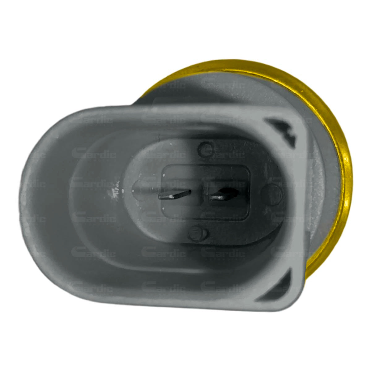 Sensor Temperatura Ect/cts Para Seat Alhambra 1.8 2003