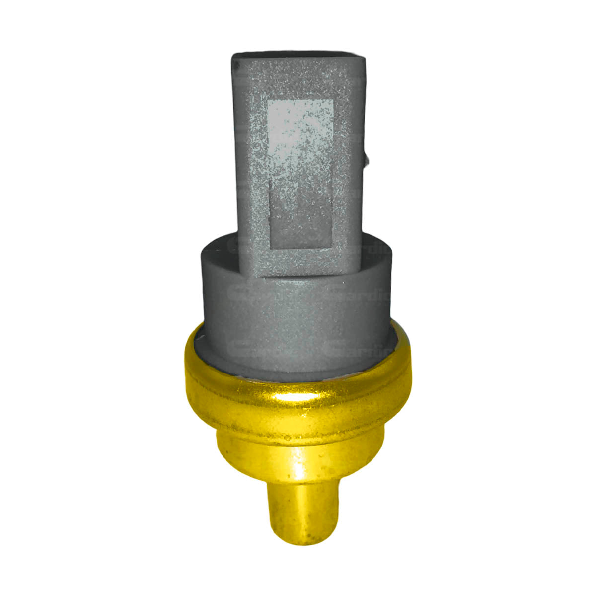 Sensor Temperatura Ect/cts Para Seat Alhambra 1.8 2003