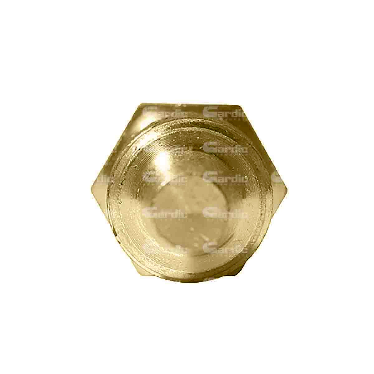 Sensor Temperatura Ect/cts Para Ford Mustang 4.6 1996 1997