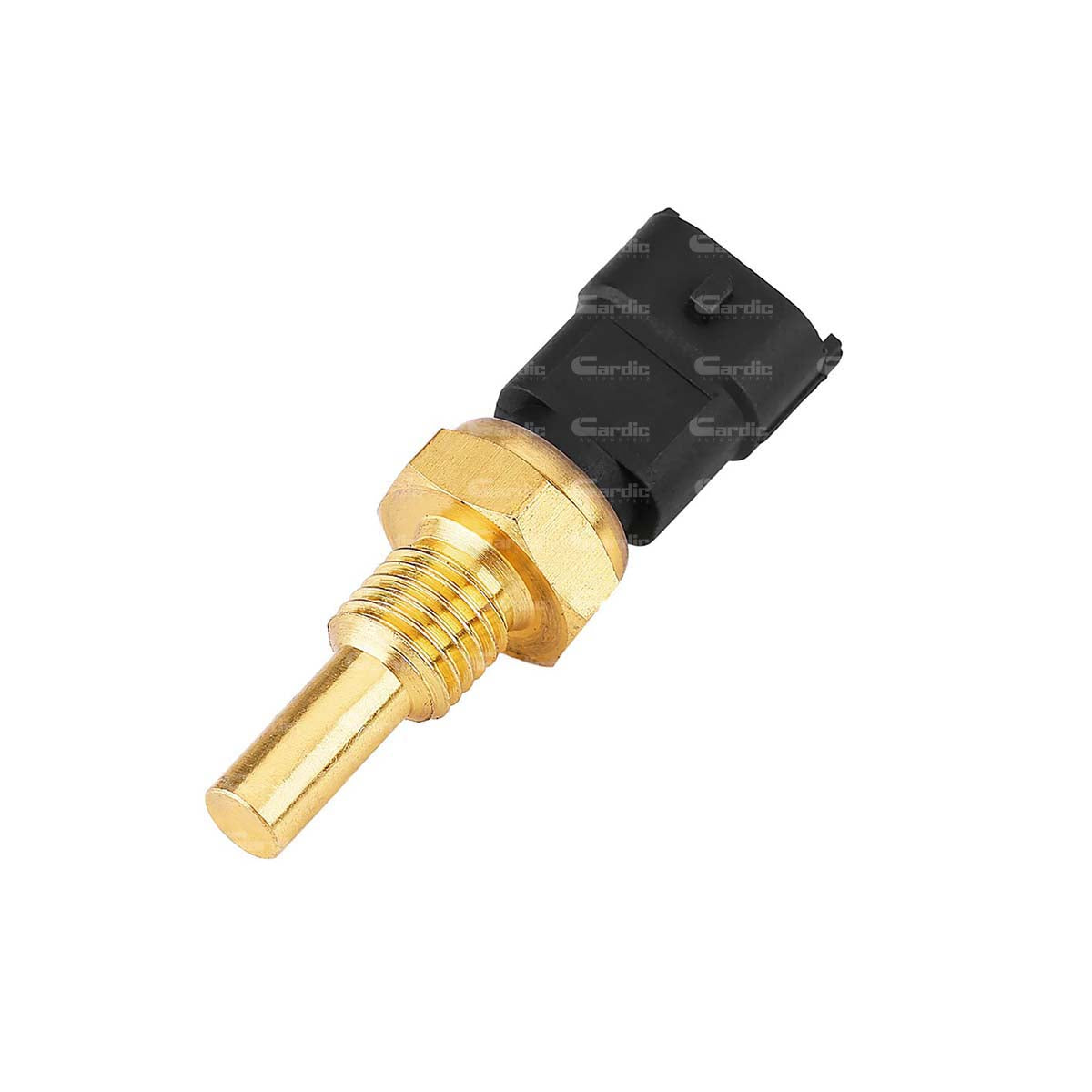 Sensor Temperatura Ect/cts Para Saturn Lw2 3.0 2000