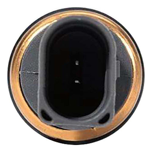 Sensor Temperatura Ect/cts Para Vw Jetta 1.8 2009 2010