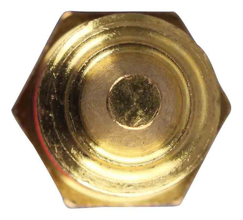Sensor Temperatura Ect/cts Para Ford E250 4.6 2006 2007 2008