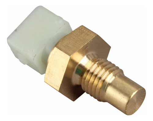 Sensor Temperatura Ect/cts Para Chevrolet Astra 2.4 2004