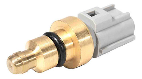 Sensor Temperatura Ect/cts Para Ford Fiesta Ikon 1.6 2002