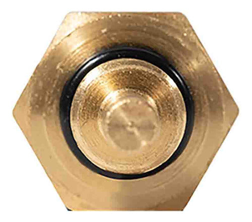 Sensor Temperatura Ect/cts Para Honda Odyssey 3.5 2005