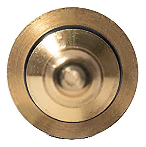 Sensor Temperatura Ect/cts Para Ford Fiesta Ikon 1.6 2002