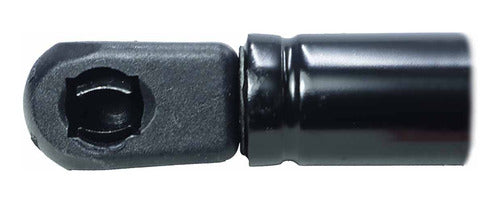 Amortiguador Cajuela Para Ford Focus Hb 1999 2000 Der/izq