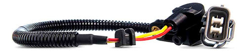 Sensor Ckp Para Honda Civic 1.6 1996 1997 1998 1999 2000
