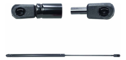 Amortiguador Cajuela Para Ford Focus Hb 2001 2002 Der/izq
